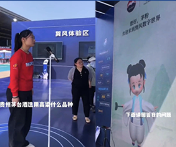 数字人问答